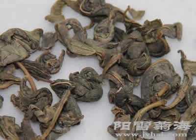 罗布麻珠茶